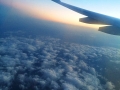 the-wing